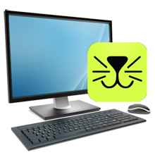 Monthly Platform and App Services Fee
